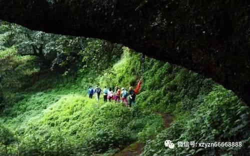 千万只麻雀教会我辨认村庄，和村庄之外的世界