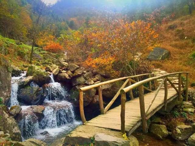 移动方块叠叠高